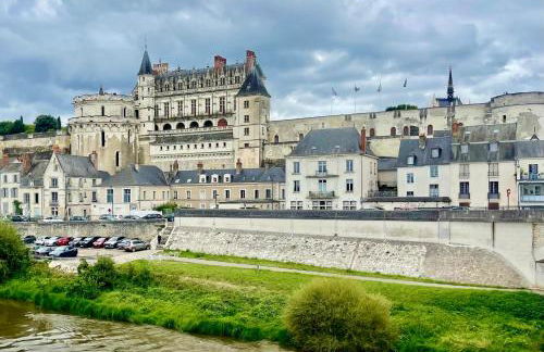Vue incroyable Loire et Chateau - Foto 4