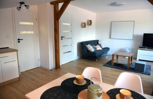 Apartament Tamaryszek - Foto 9