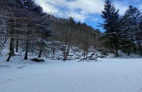 Cozy Escape in Walthersdorf - Foto 27