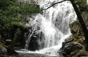 La Lancha del Jerte - Foto 40