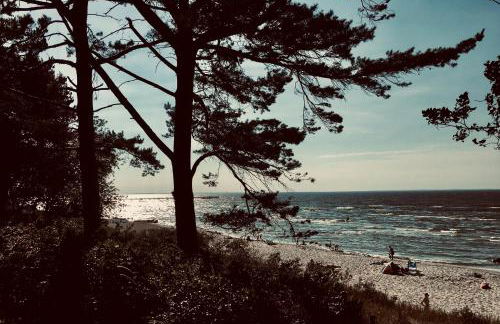 Waldhaus am Meer - Foto 25