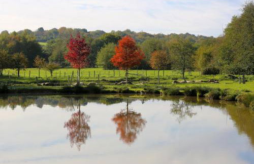 The Lavendrye - Photo 19