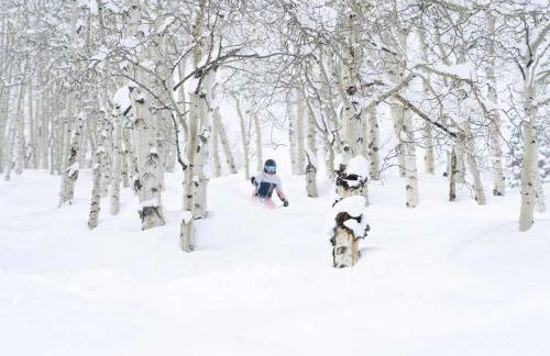 New Listing 2BR 2BA Condo - Mountain Views - Foto 56