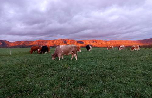 Ferienwohnung Kuhstall - Foto 9