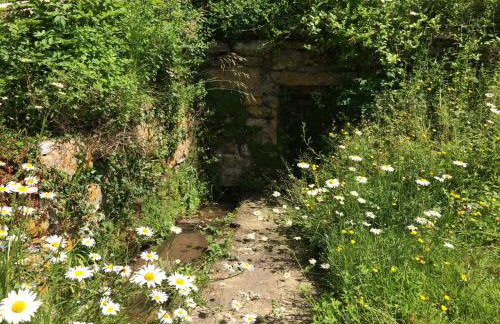 Yew Tree Cottage - Foto 14