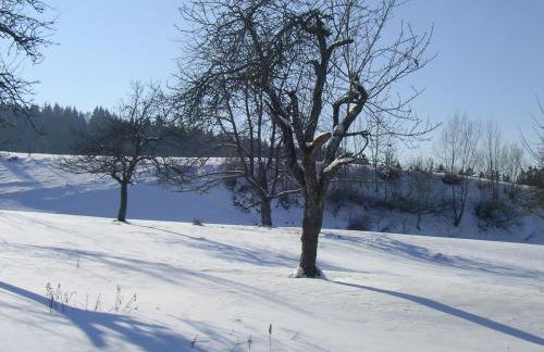 Ferienclub Maierhöfen - Foto 41