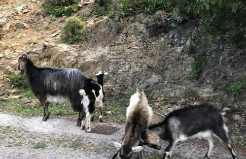 Les villas de Mélody - Foto 66