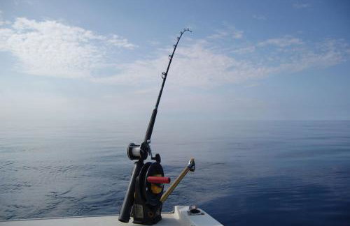 Gorgonia Apartments & Suites - Foto 48