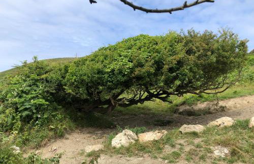 Little Valley View - Foto 16