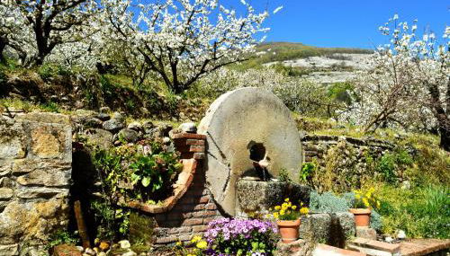 Casa Valeriana - Foto 3, Garden