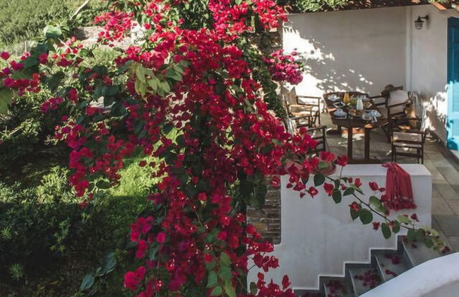 Andros Maisonettes - Photo 32