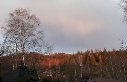 Behagliches Ferienhaus Zaunkönig -mit Kamin und Sauna- Blick über das romantische Bodetal - Foto 16