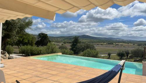 Almojanda 3 olive tree - Foto 2