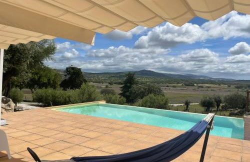 Almojanda 3 olive tree - Foto 2