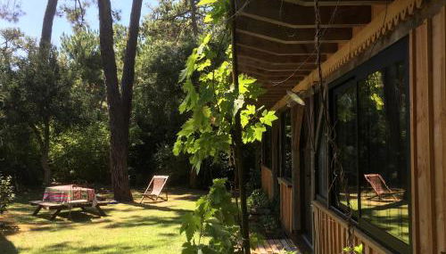 la maison face au port - Foto 5, Garden view