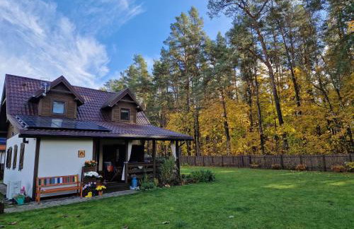 Łap Las Pelnik - Photo 32