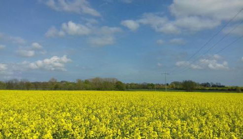Meyers Veranda - Foto 4