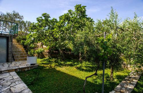 Great view apartment - Photo 6