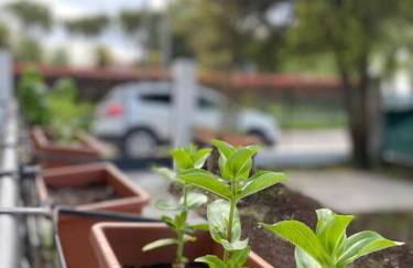 Casa del Salice Lagoon View with Garden - Photo 34