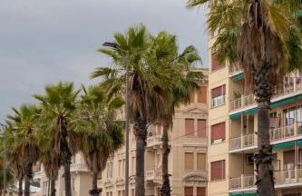 Paradiso Garden - Foto 20