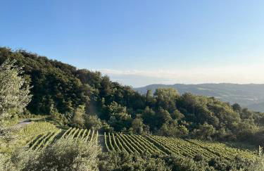 Ciabot Donna Rosa - Photo 6