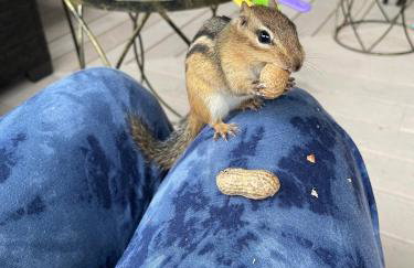 HoneyBee Homes - Foto 42