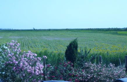 Soleil De Camargue - Foto 8