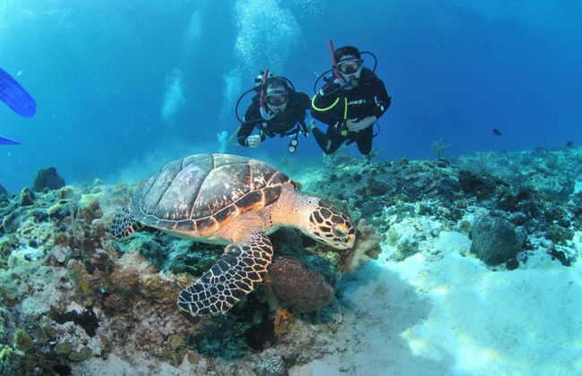 Bautismo de buceo en Búzios - Foto 5