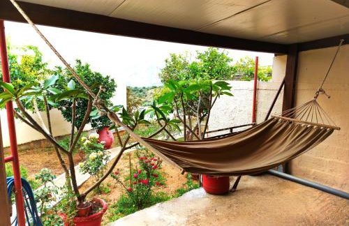 Village house with a nice garden - Foto 4