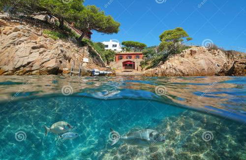 Noor apartamento - Foto 31