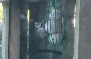 The Bothy, Nethy Bridge - Foto 9