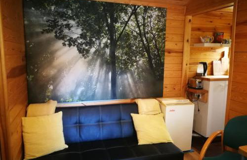 domki domek na jeziorem Wilczyńskim Budzisławskim , las, osobno ogrodzony 2-6 osób- klimatyzacja, ogrzewanie, 62-550 Zygmuntowo gm Wilczyn - Foto 34