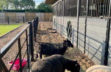 Willow Court Farm Studio East & Petting Farm, 8 mins to Legoland & Windsor, 15 mins to Lapland UK - Foto 27