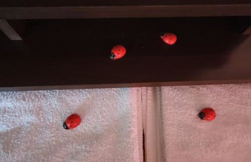 Viva Ve - Studio Apartment - Foto 9