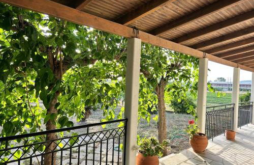 Rest & Relax holiday house in Katakolo - Foto 16