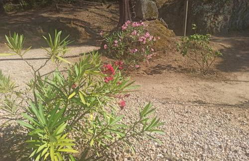 Chalet en entorno Natural de la Costa Brava - Foto 47