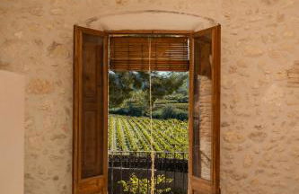 Mas Grimosach - Masía en finca y bodega ecológica - Adults Only - Foto 13