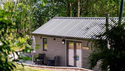 The Cabin in the Tamar Valley Cornwall - Foto 1