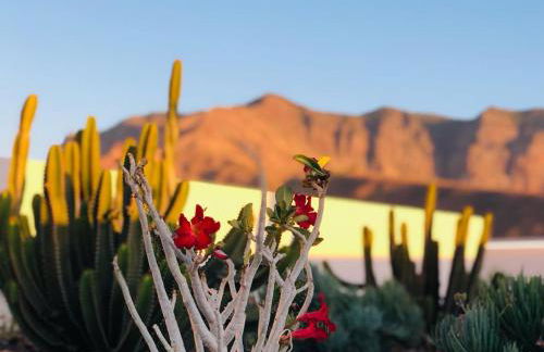 PARAISOS DE AGAETE - Foto 44