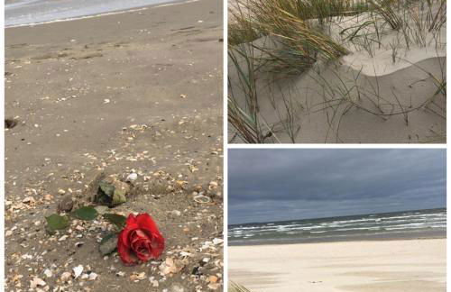 Ferienwohnung mit Terrasse - Insel Usedom - Foto 56