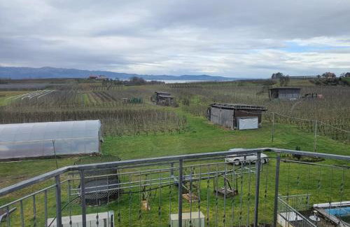 Obst- und Ferienhof Schäfler - Foto 14