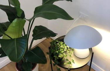 BnButler - Guercino, 8 - Renovated Design Apartment - Photo 20