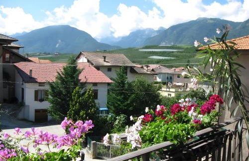 Agriturismo Odorizzi - Photo 1