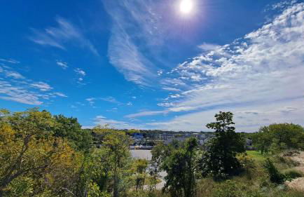 Beachcomber - Photo 22