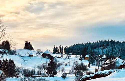 Ferienwohnung Haus Alpenblick - Foto 4