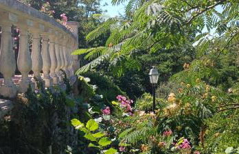 Gîte de charme atypique vue panoramique - Photo 47