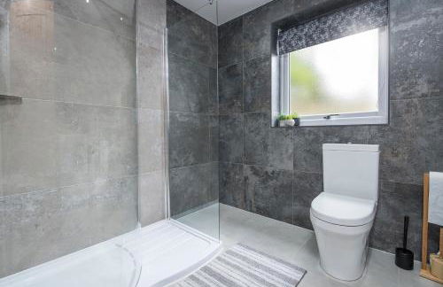 Llwynblyfyn - Foto 27