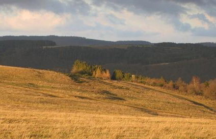 Ferienwohnung Dürbaum - Photo 36