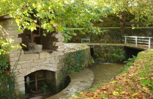 Casa da Caneleira Camélias de Basto - Foto 37