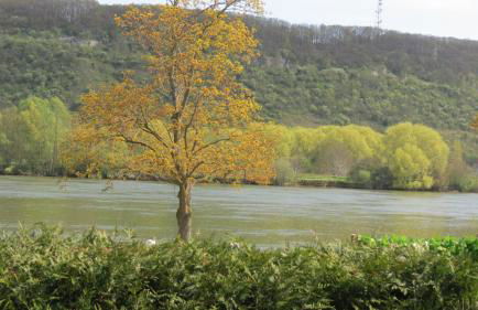 Les Terrasses sur Seine - Foto 58